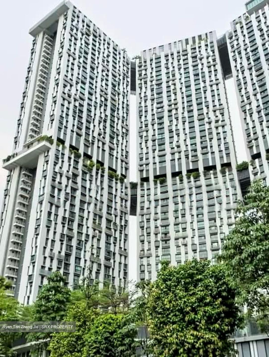 Blk 1 The Pinnacle@Duxton (Bukit Merah), HDB 4 Rooms #552409131